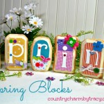 SPRING Wood Blocks