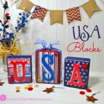 ♥ USA Blocks