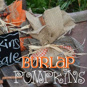 {Painted Burlap} Fall Pumpkins Tutorial