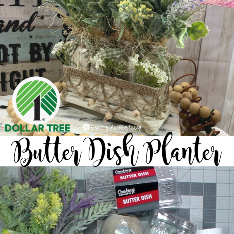 Dollar Tree Butter Dish Planter